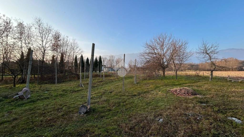 immagine annuncio 11 di 14