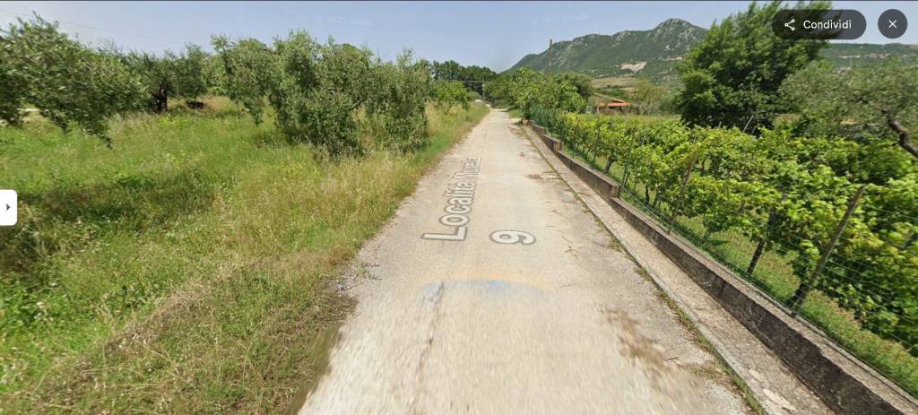 immagine annuncio 5 di 14