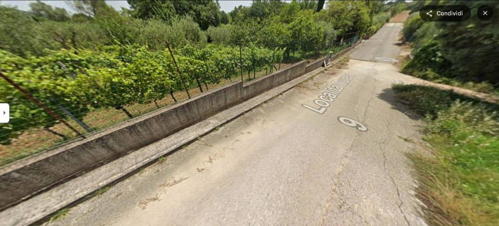 immagine annuncio 11 di 14