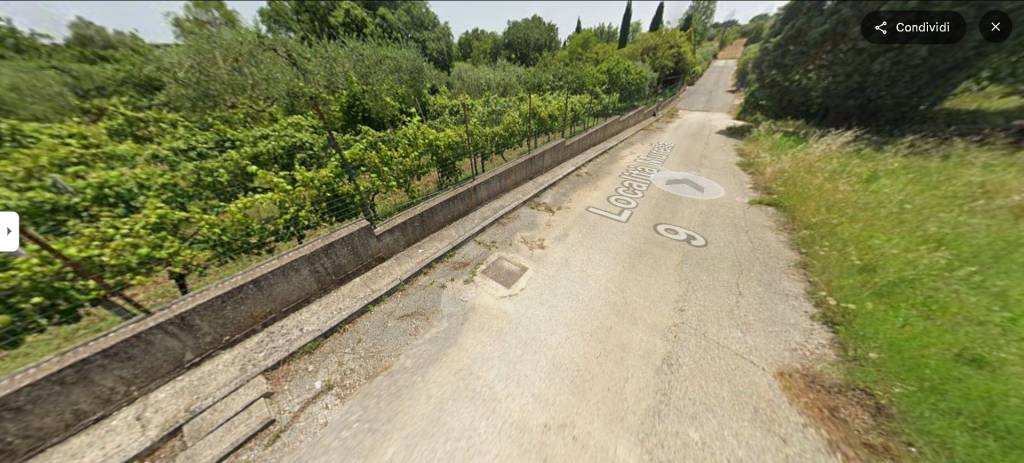 immagine annuncio 12 di 14