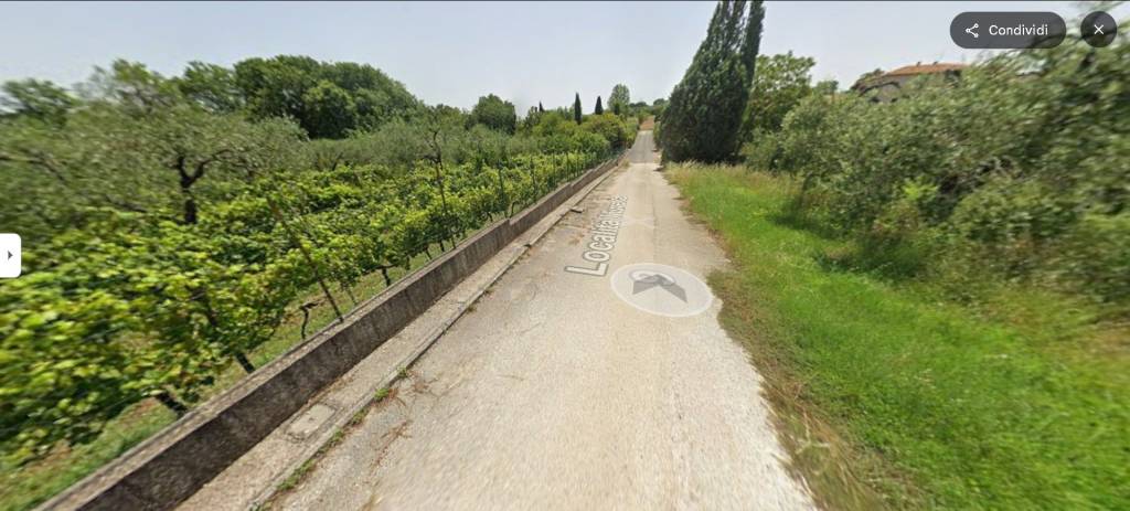 immagine annuncio 13 di 14