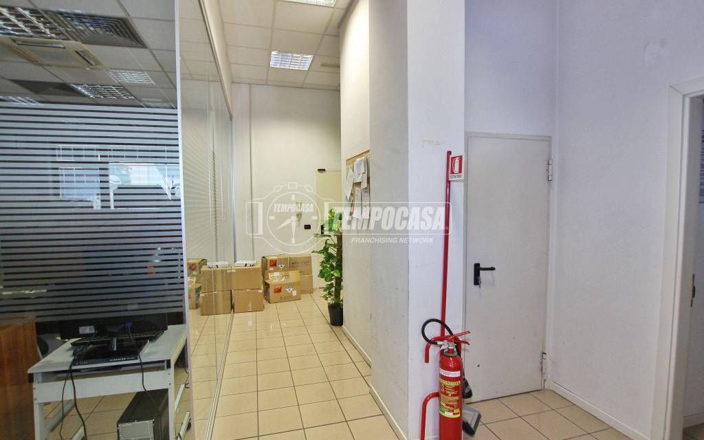 immagine annuncio 4 di 14
