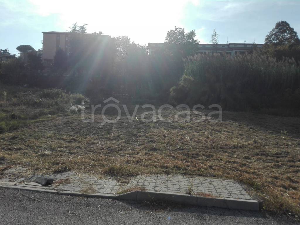 immagine annuncio 3 di 6