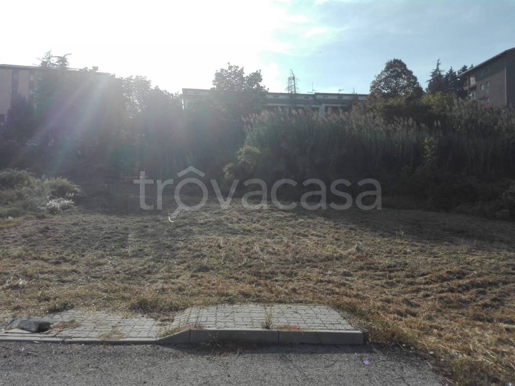 immagine annuncio 4 di 6