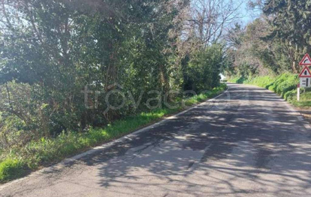 immagine annuncio 4 di 12
