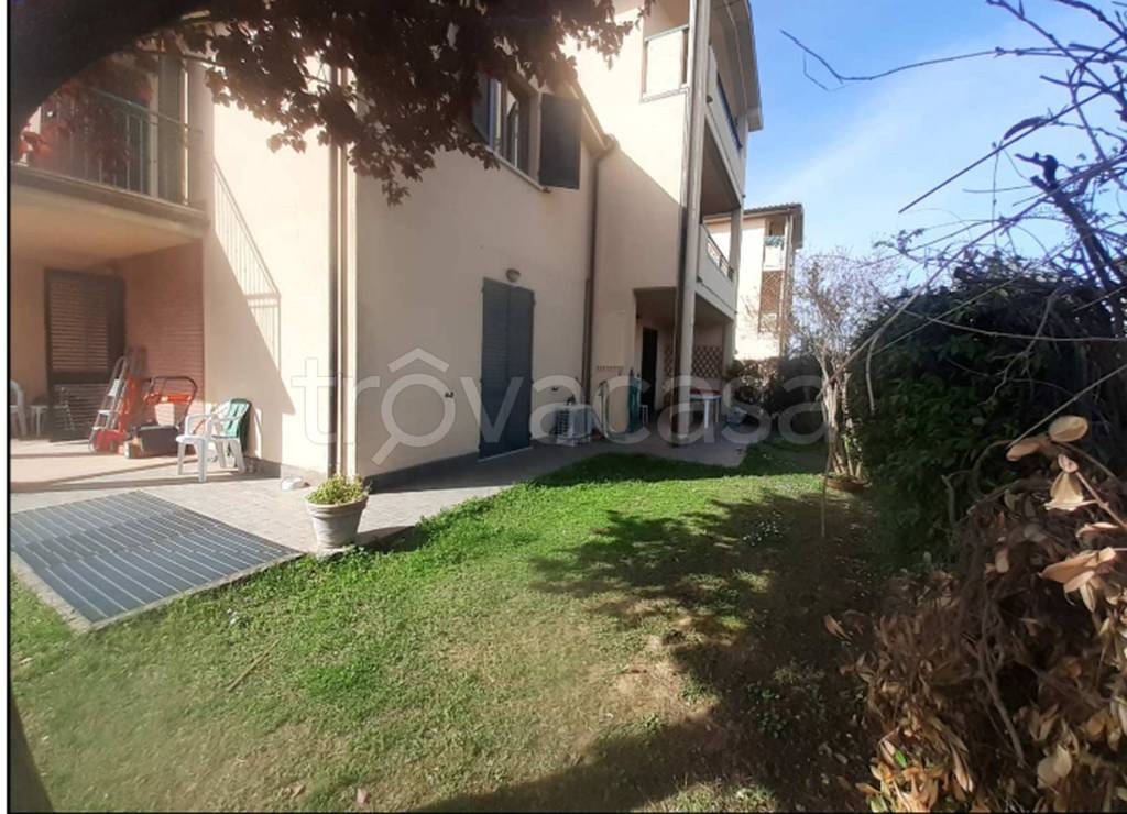 immagine annuncio 5 di 14