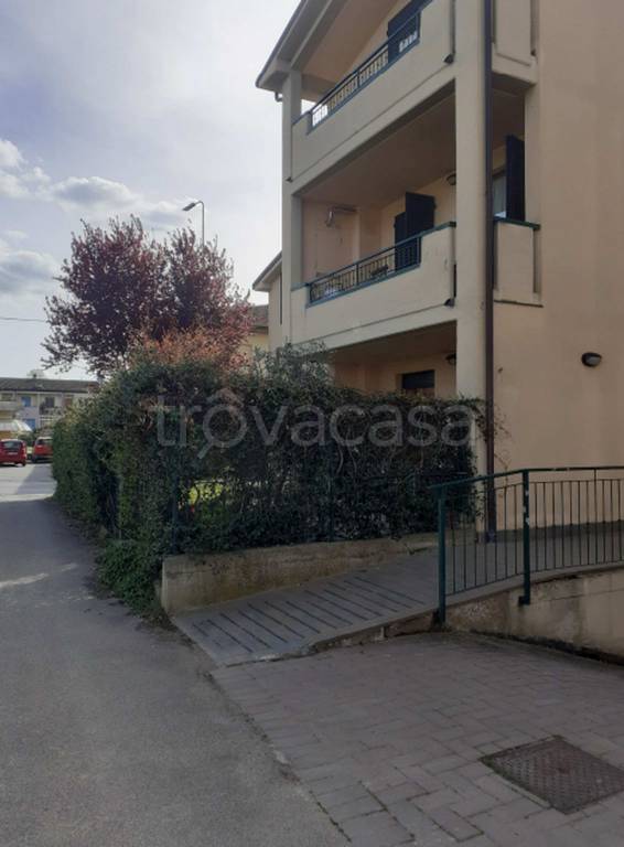immagine annuncio 6 di 14