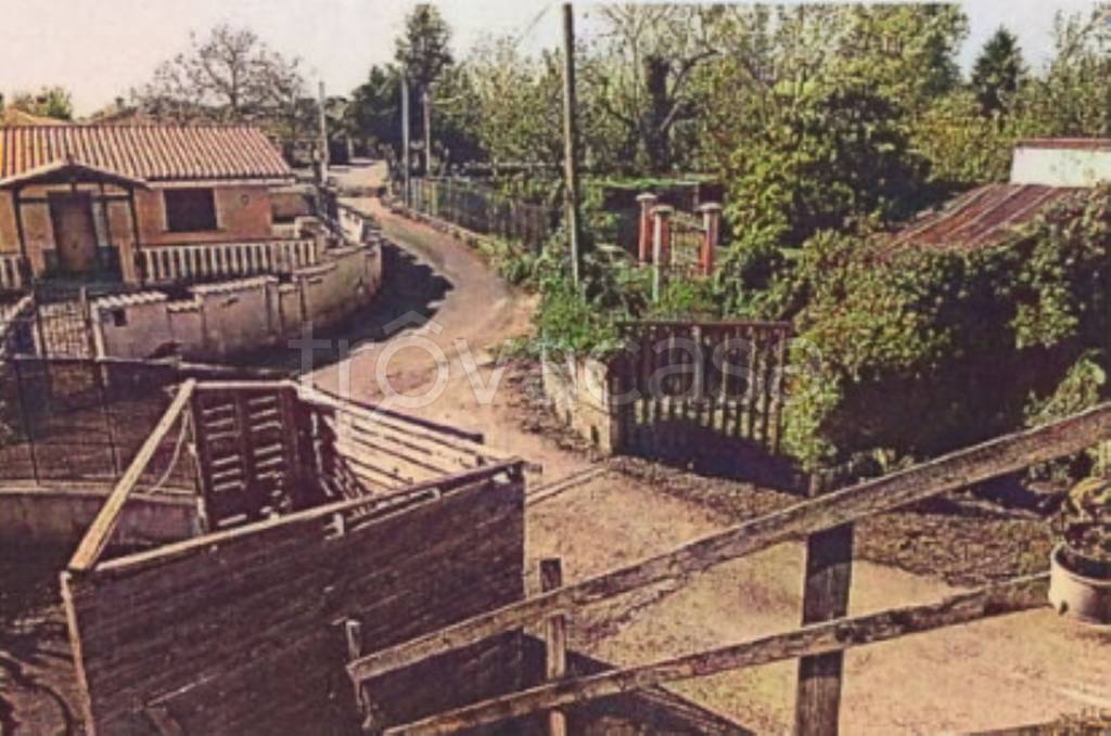 immagine annuncio 9 di 12