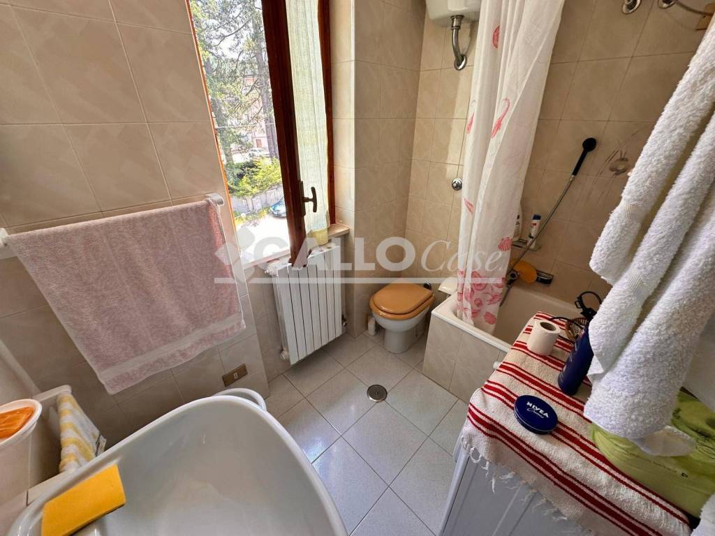 immagine annuncio 9 di 14