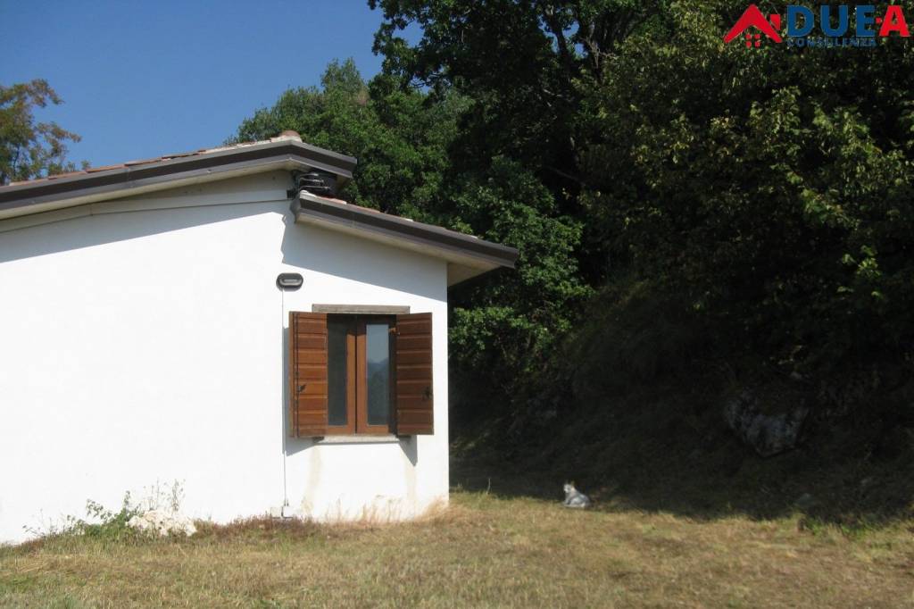 immagine annuncio 5 di 7