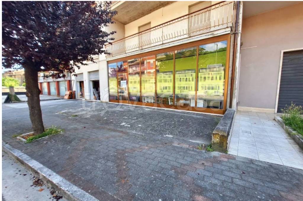 immagine annuncio 10 di 12