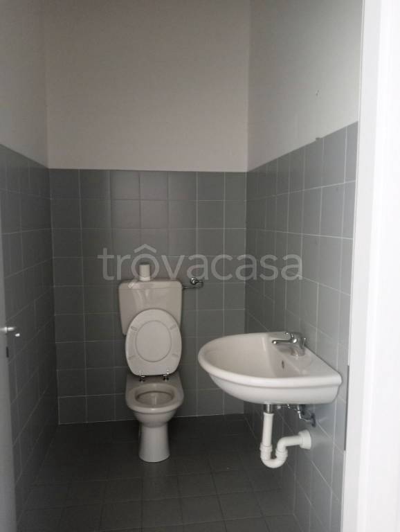 immagine annuncio 10 di 14