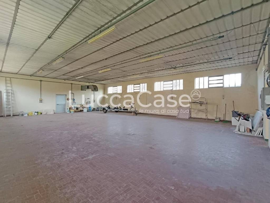 immagine annuncio 4 di 6