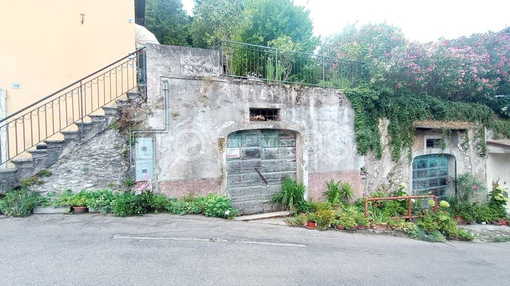 immagine annuncio 1 di 14