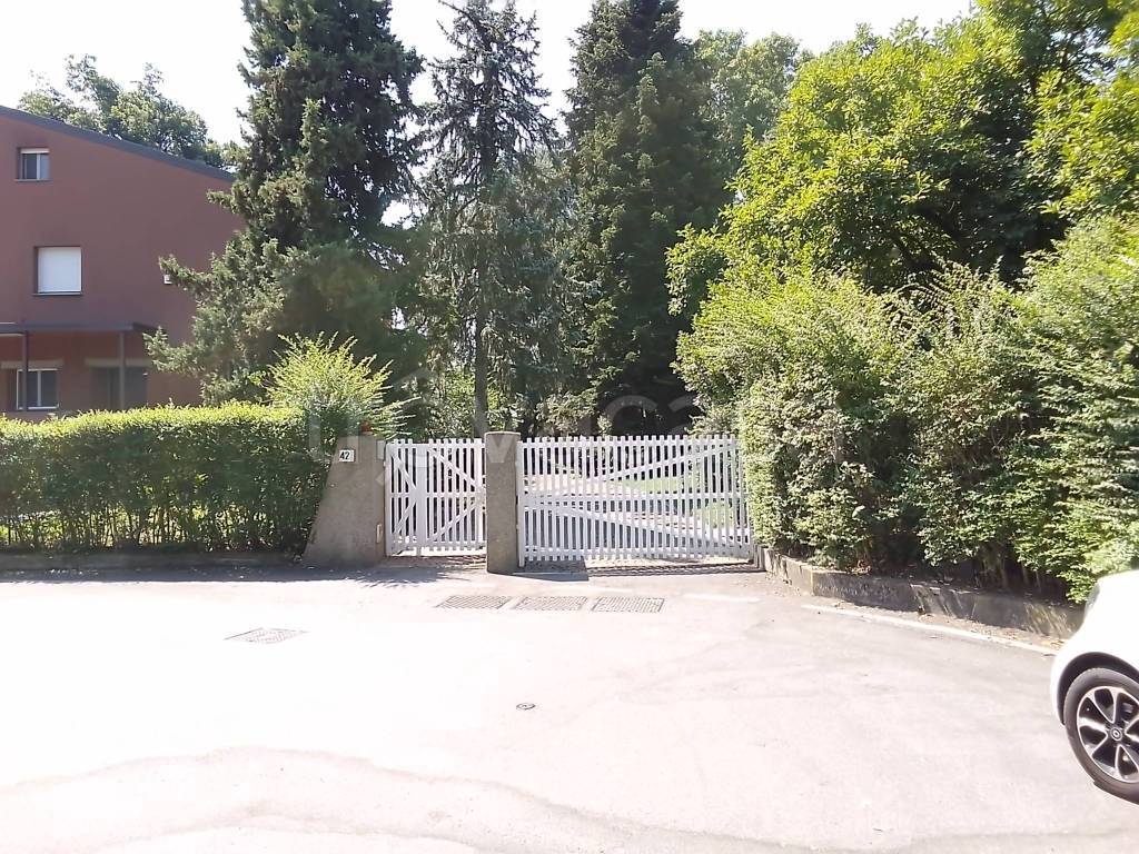 immagine annuncio 6 di 12