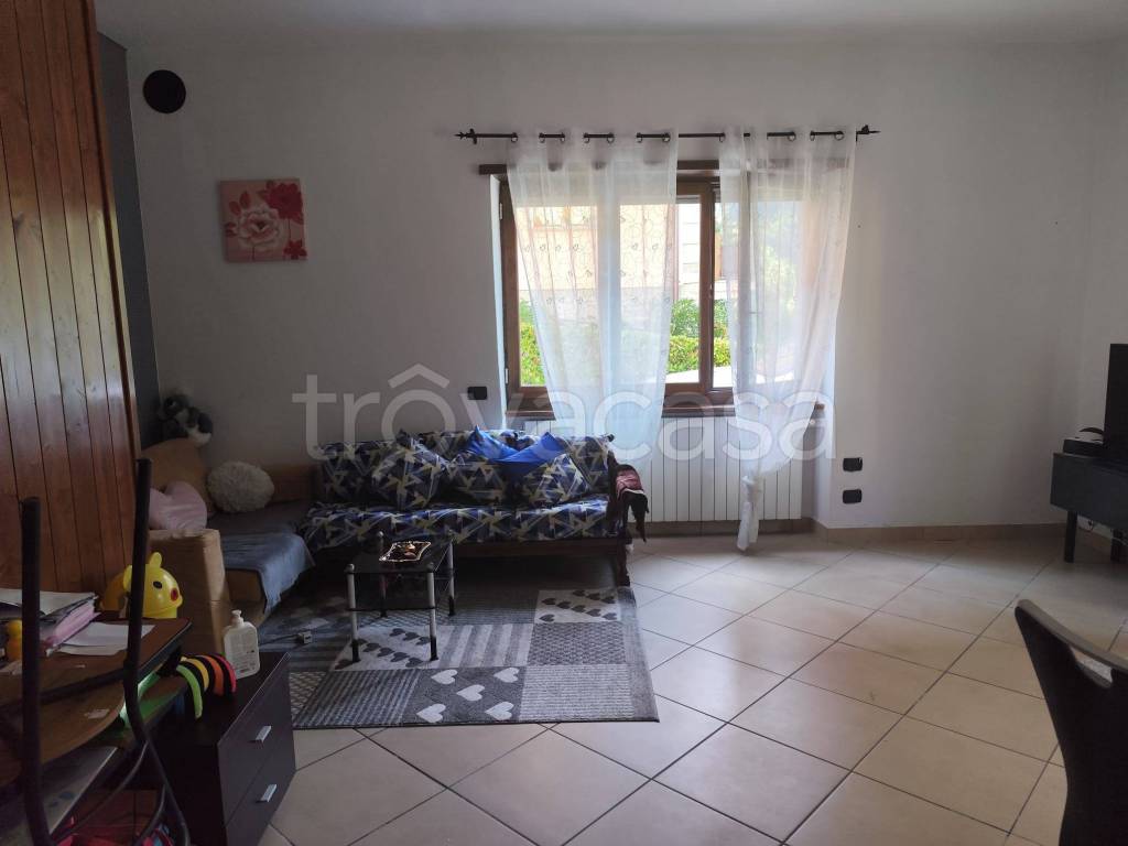 immagine annuncio 9 di 14