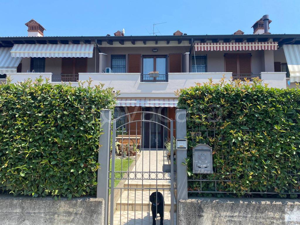 immagine annuncio 3 di 15