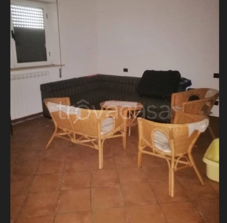 immagine annuncio 5 di 14