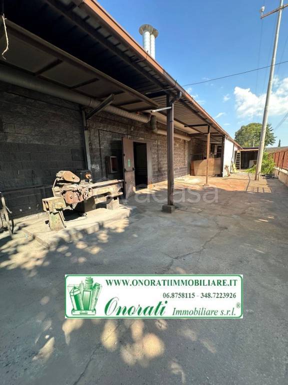 immagine annuncio 13 di 15