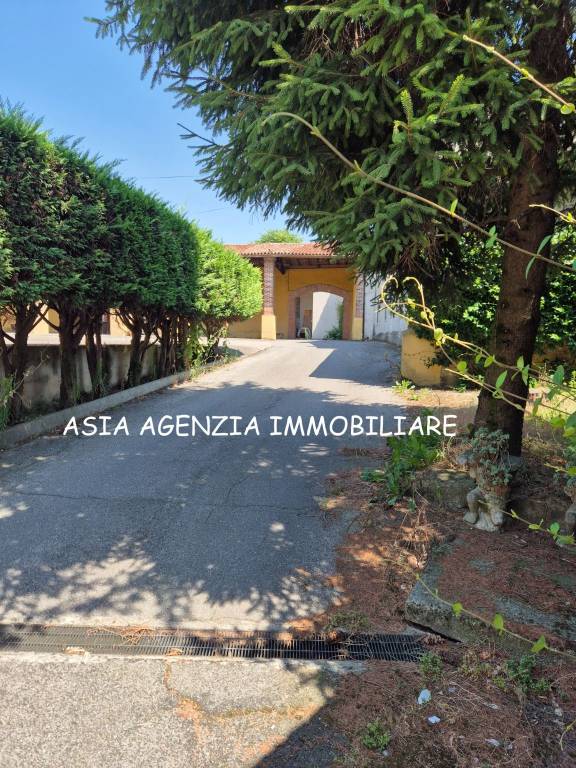 immagine annuncio 6 di 13