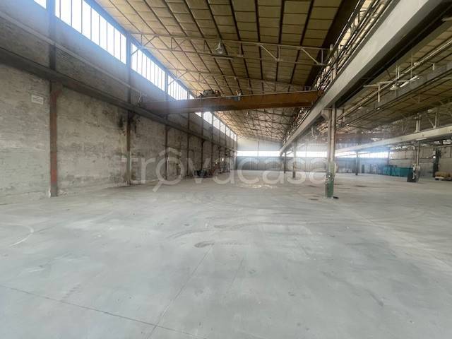 immagine annuncio 4 di 11