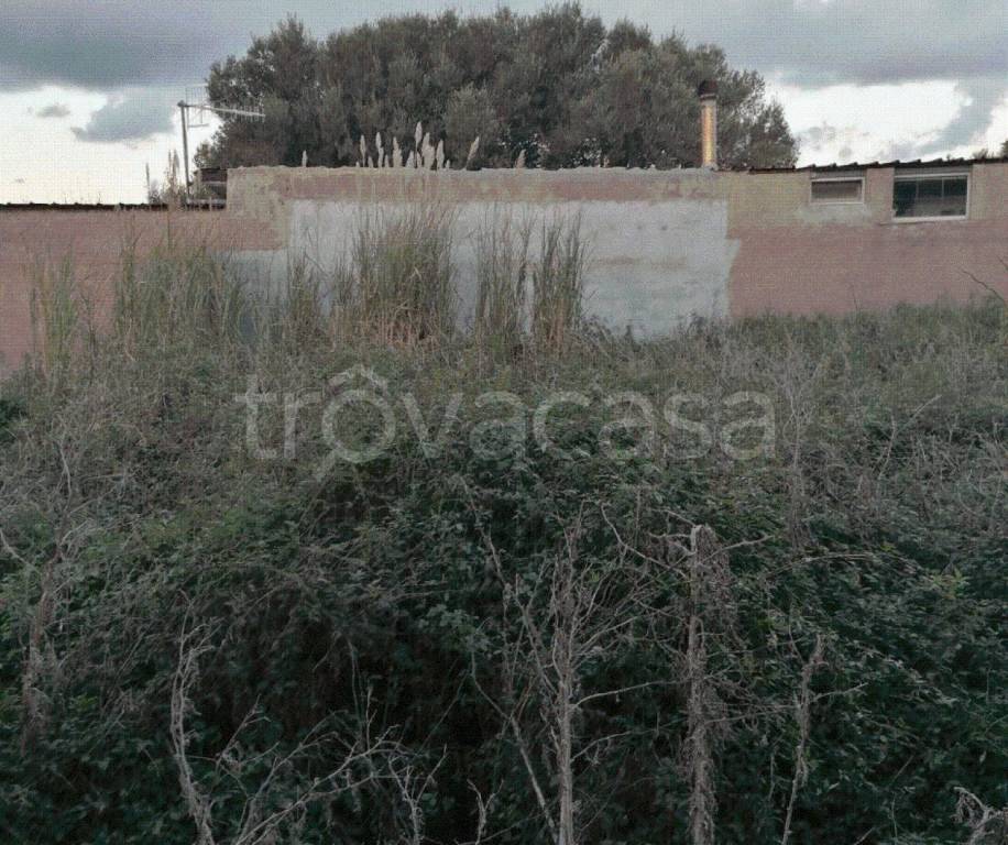 immagine annuncio 3 di 8