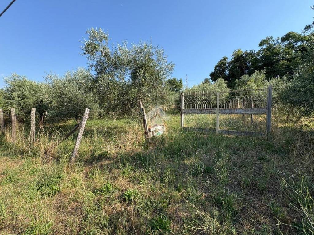 immagine annuncio 1 di 14