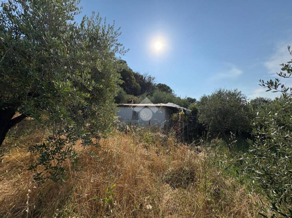 immagine annuncio 5 di 14
