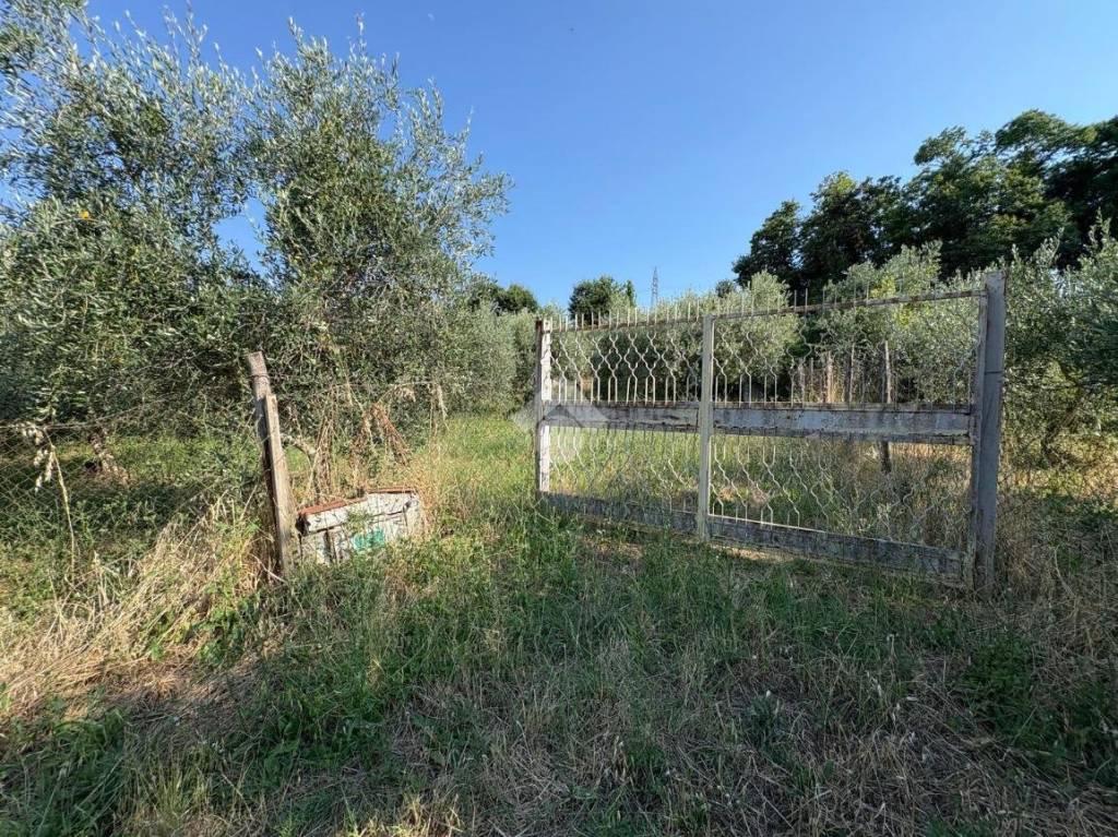 immagine annuncio 11 di 14