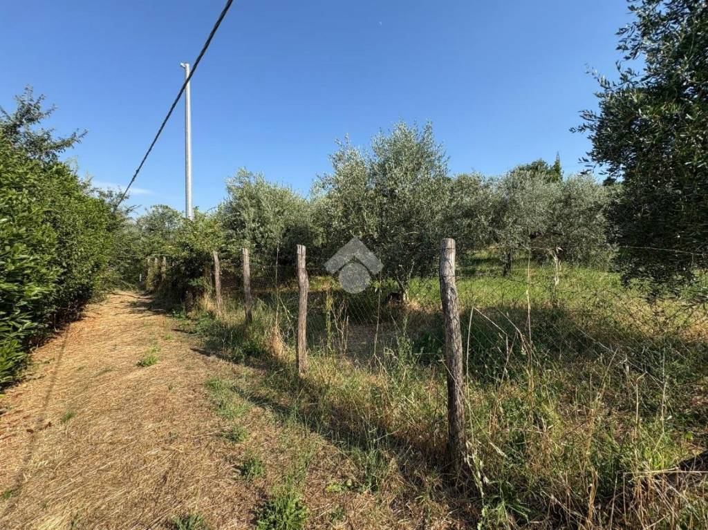immagine annuncio 12 di 14