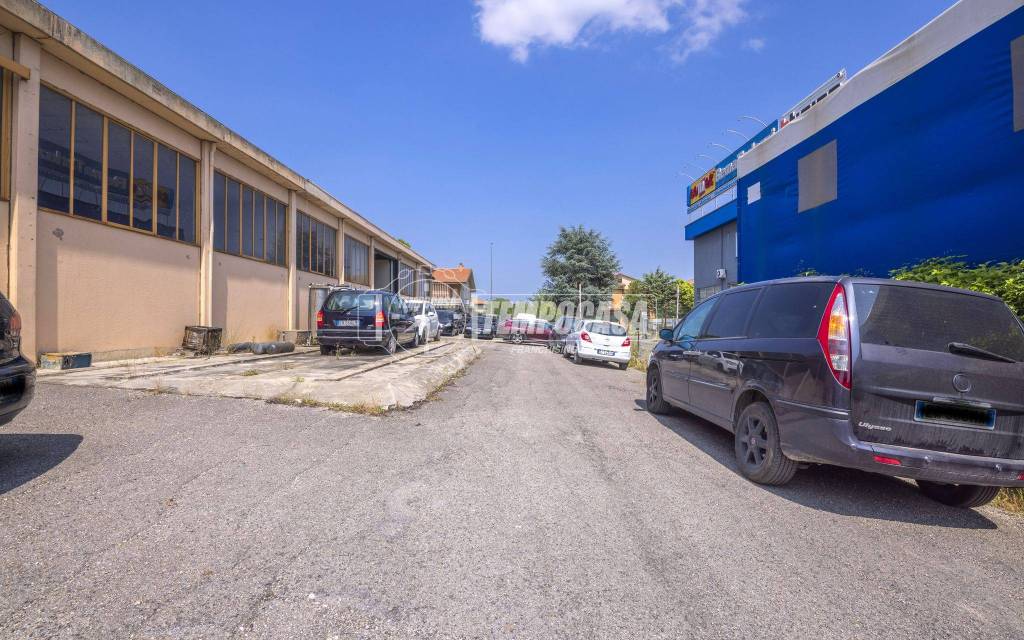immagine annuncio 11 di 15