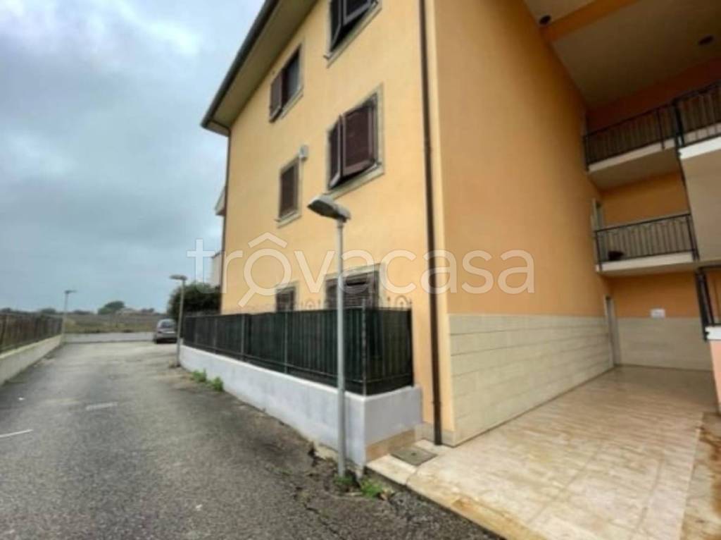 immagine annuncio 6 di 11