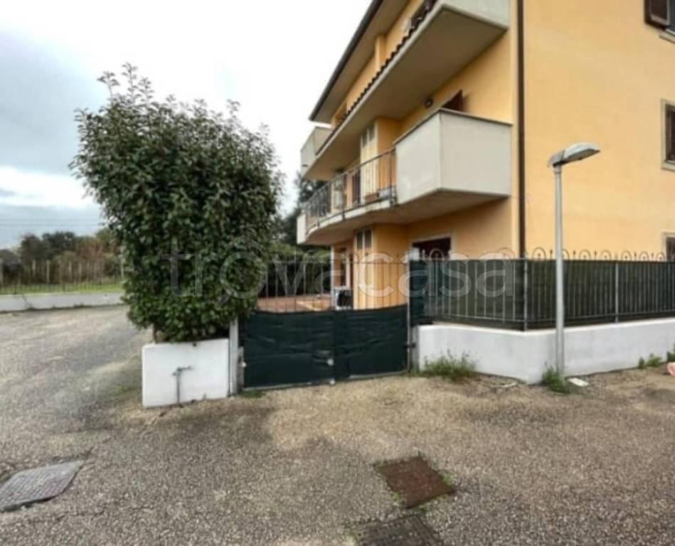 immagine annuncio 7 di 11