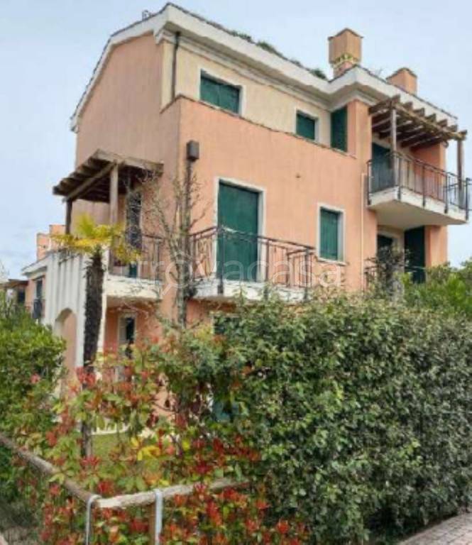 immagine annuncio 2 di 11