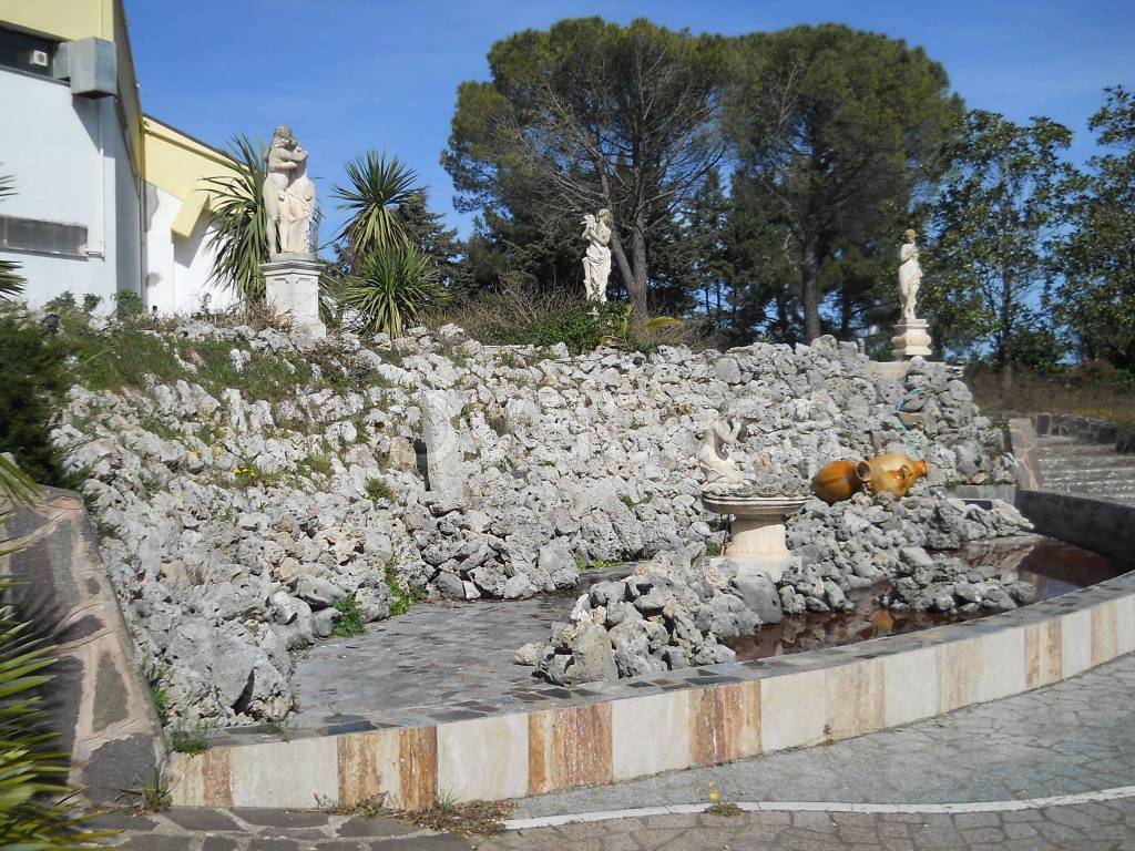 immagine annuncio 3 di 12