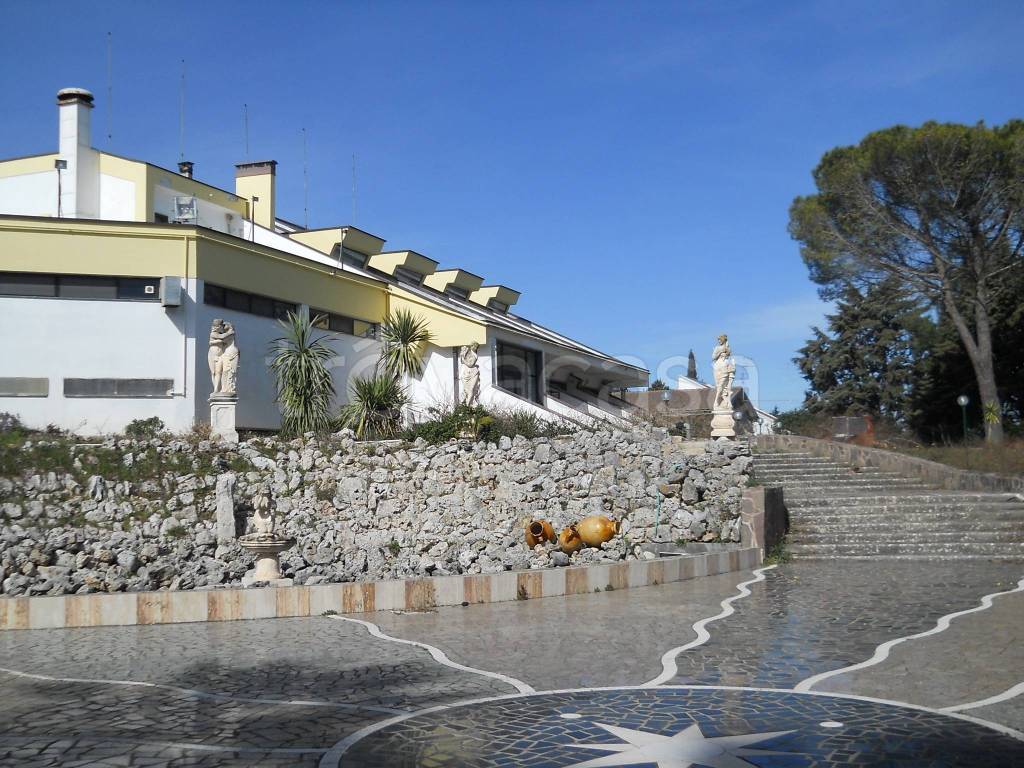immagine annuncio 6 di 12