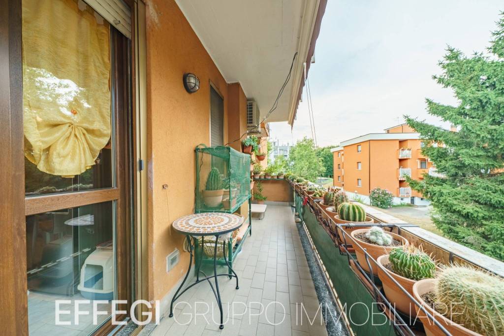immagine annuncio 9 di 13
