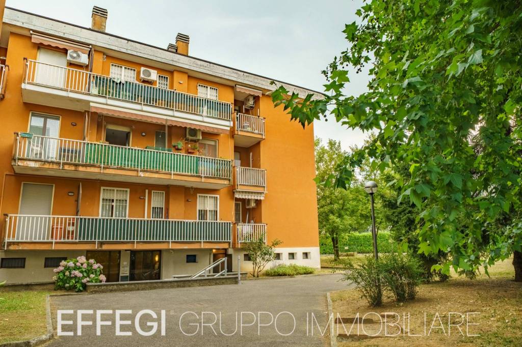immagine annuncio 12 di 13