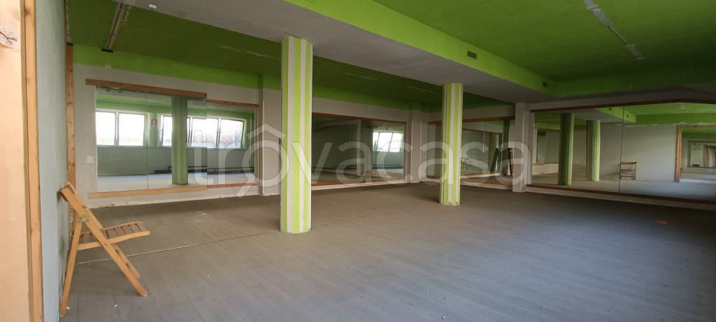 immagine annuncio 2 di 14