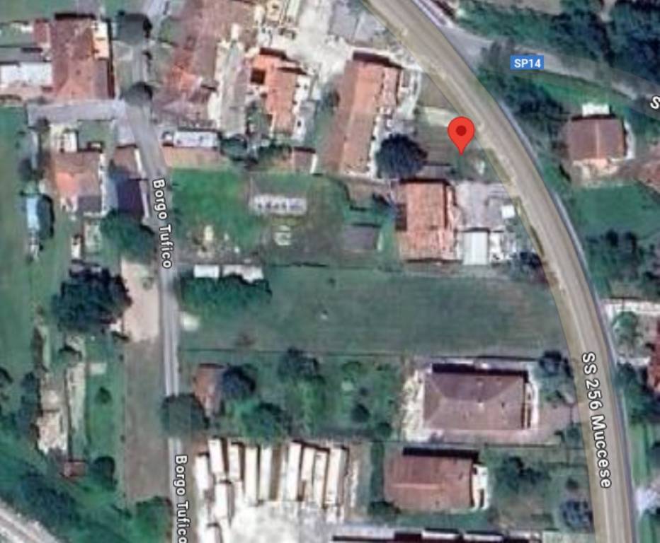 immagine annuncio 9 di 11