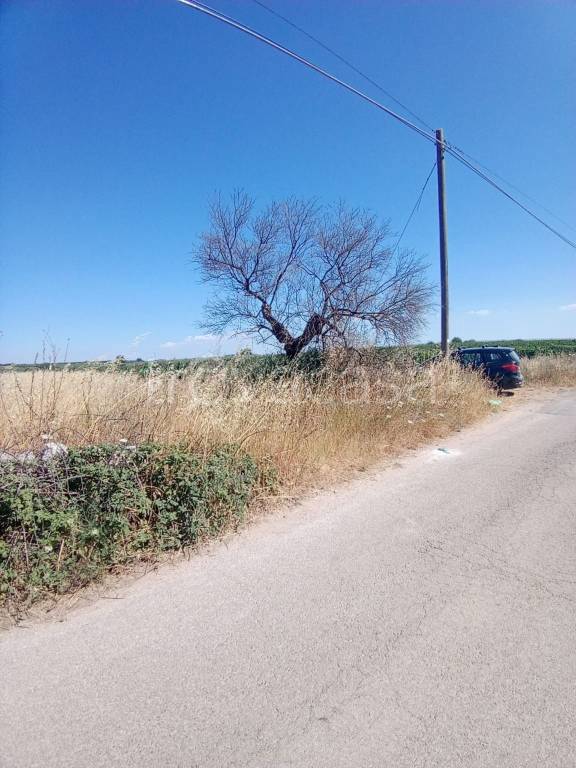 immagine annuncio 7 di 11
