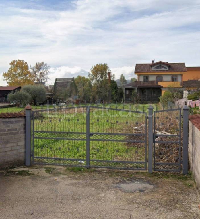 immagine annuncio 5 di 11