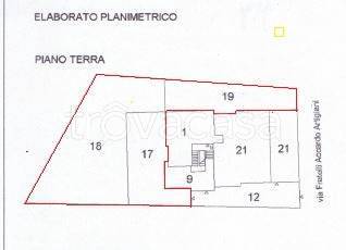 immagine annuncio 1 di 2