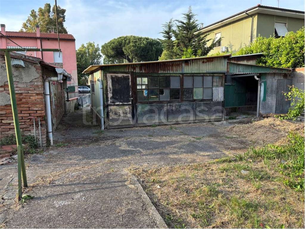 immagine annuncio 3 di 14