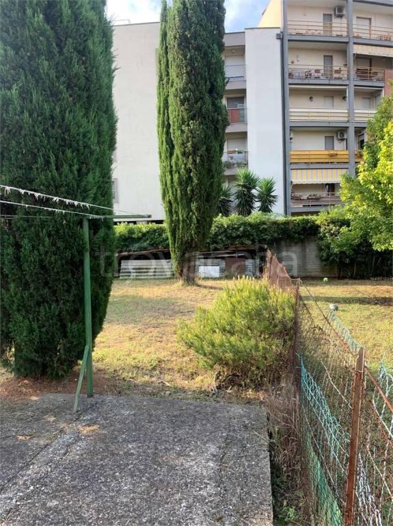 immagine annuncio 6 di 14