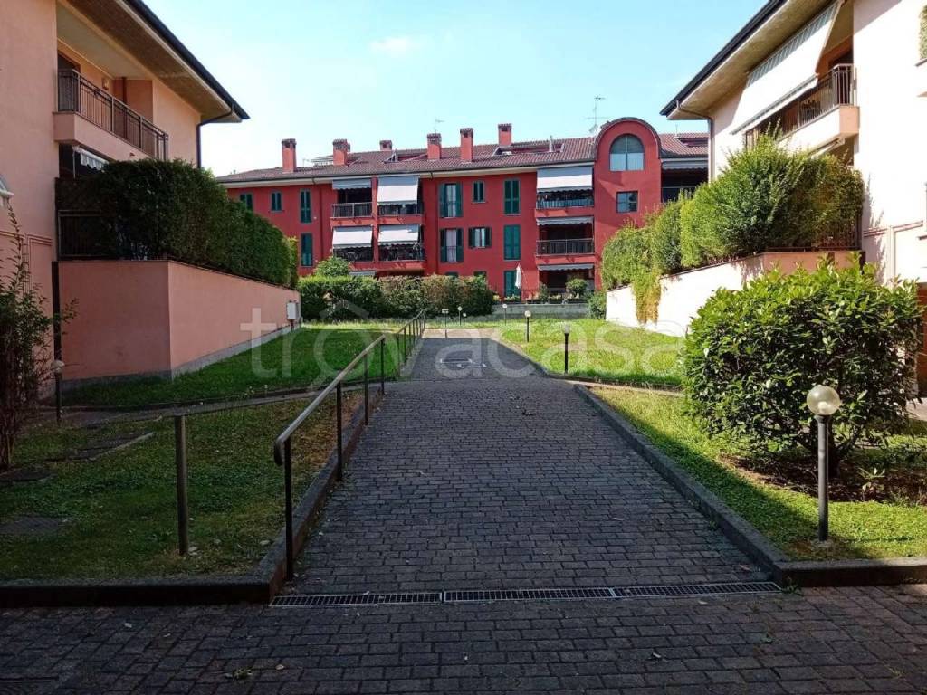 immagine annuncio 3 di 15