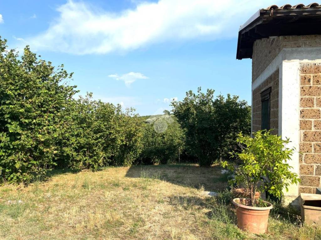 immagine annuncio 9 di 14