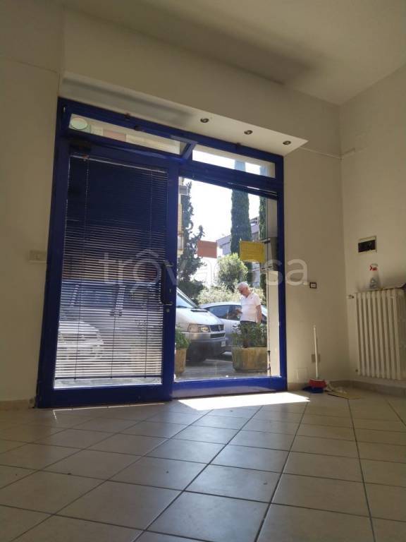 immagine annuncio 3 di 12