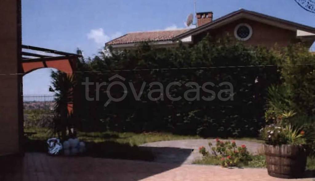 immagine annuncio 6 di 11