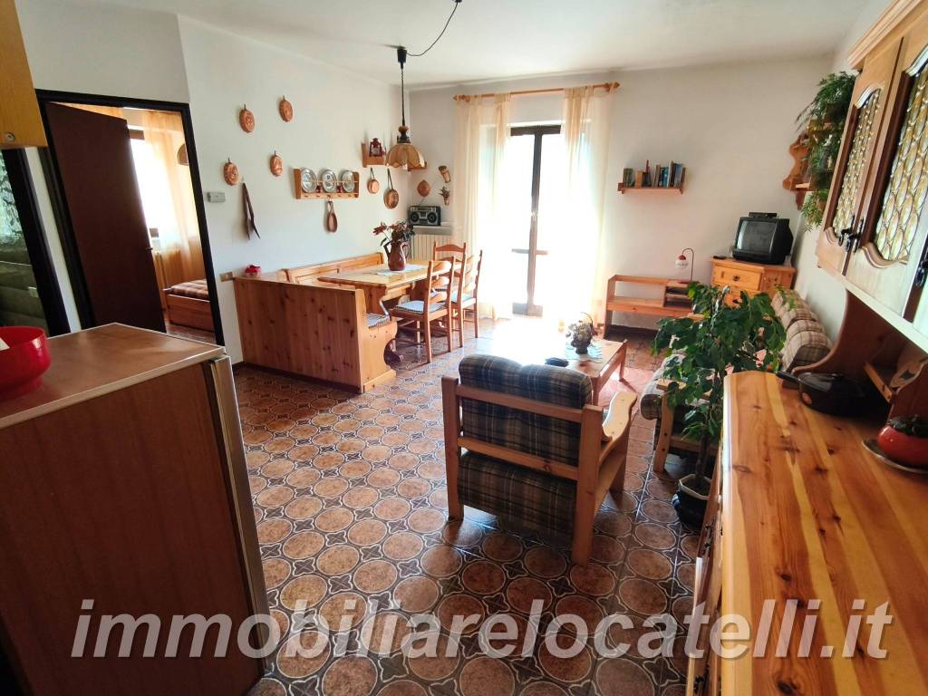 immagine annuncio 1 di 14